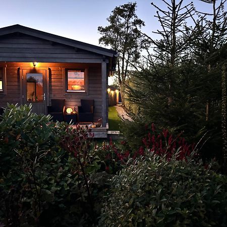 Chalet In Het Groen Met Airco Drachtstercompagnie Luaran gambar