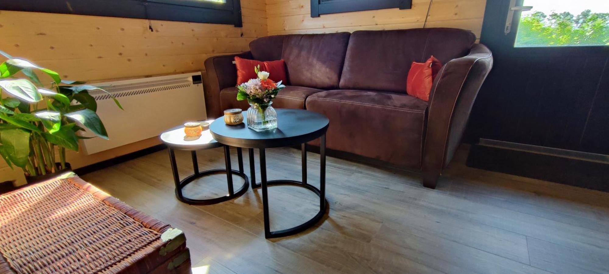 Chalet In Het Groen Met Airco Drachtstercompagnie Luaran gambar